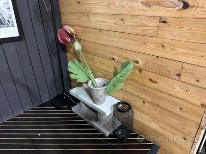 Växter och konstväxter Växter och konstväxter