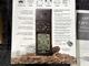 GPS 12 Garmin GPS 12 Garmin