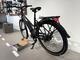 Elcykel Batavus Razer, dam