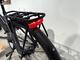Elcykel Batavus Razer, dam