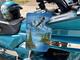 Honda Gold Wing GL1500 SE (FGE908) -93