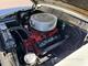 Ford Fairlane Town Sedan -56 + SMV husvagn Ford Fairlane Town Sedan -56 + SMV husvagn
