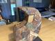 Träkonst  (5)