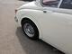Jaguar Mark II -66 (CAT960) Jaguar Mark II -66 (CAT960)