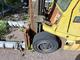 Dieseltruck TCM FD 30 -83 Dieseltruck TCM FD 30 -83