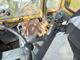 Dieseltruck TCM FD 30 -83 Dieseltruck TCM FD 30 -83