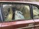 Volvo 240 -84 (EGC341) Reservdelsbil?