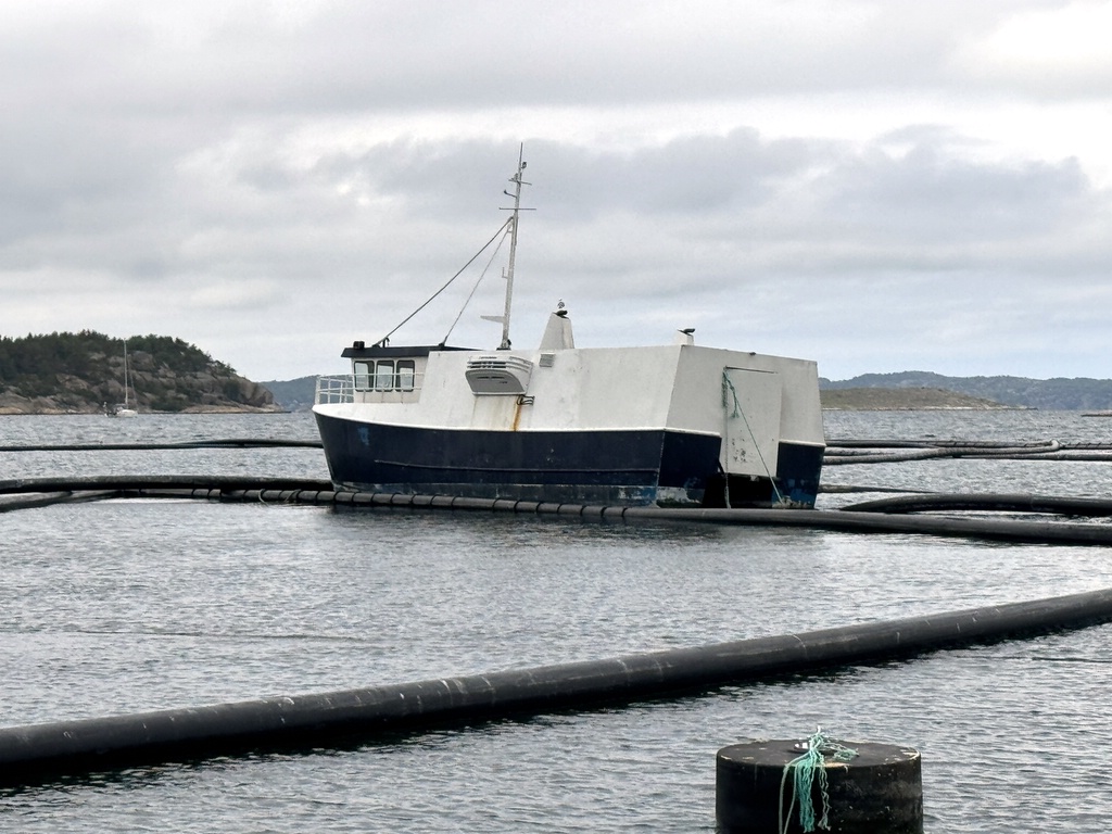 Katamaranfartyg med kylaggregat 12m Katamaranfartyg med kylaggregat 12m