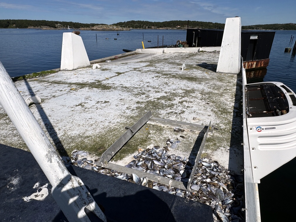 Katamaranfartyg med kylaggregat 12m Katamaranfartyg med kylaggregat 12m