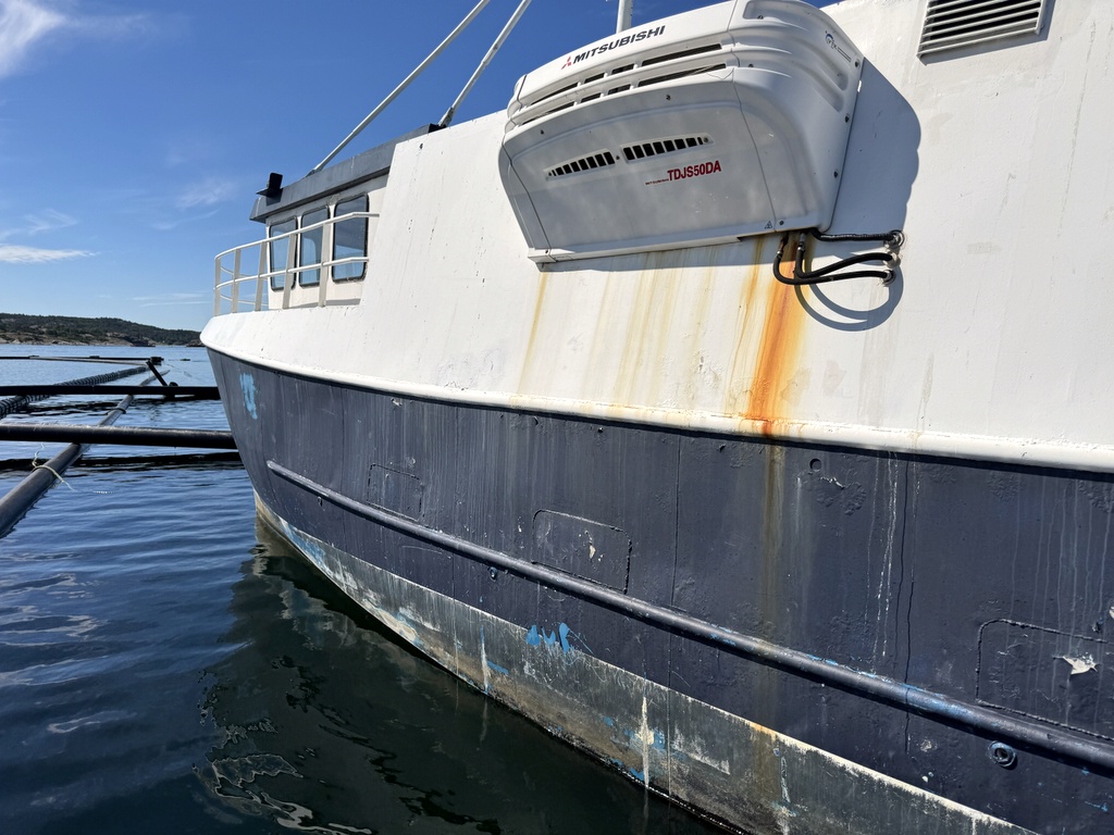 Katamaranfartyg med kylaggregat 12m Katamaranfartyg med kylaggregat 12m