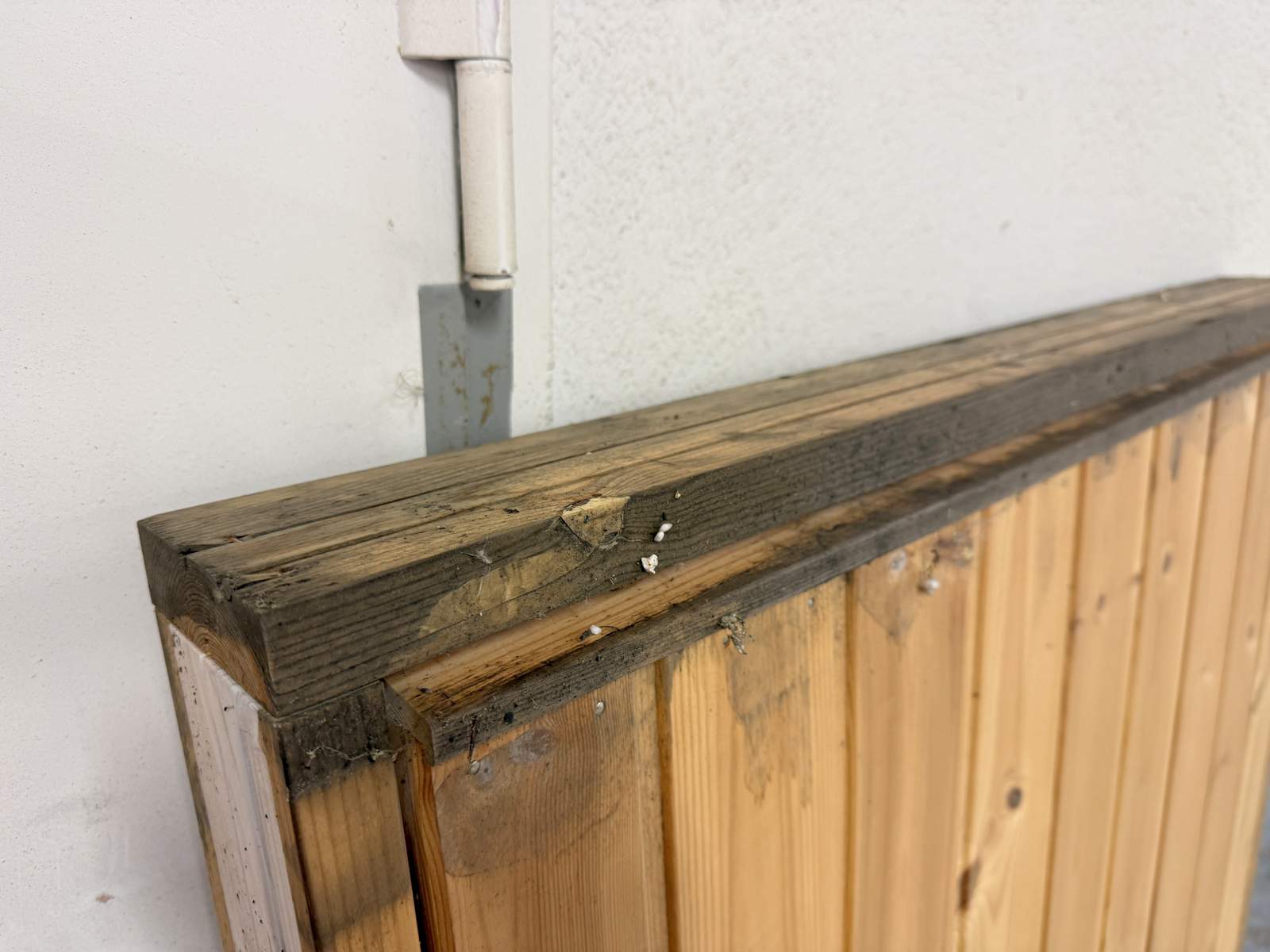 Kallförrådsdörr/trädörr Jeld Wen Kallförrådsdörr/trädörr Jeld Wen